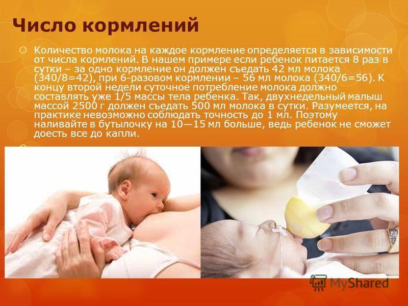 Во сколько недель можно родить здорового малыша - детская городская поликлиника №1 г. магнитогорска