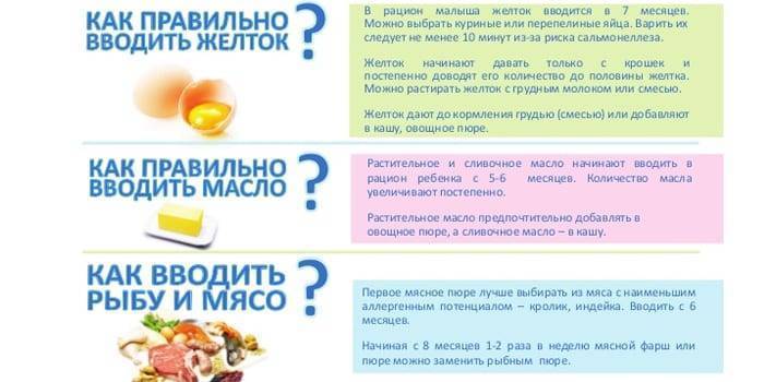 Желток для грудничка: как вводить и со скольки месяцев можно давать | terra-baby.ru
