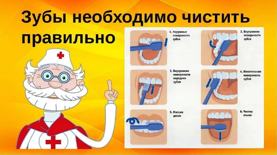 Коренные зубы у детей: сроки и порядок прорезывания постоянных зубов - таблица и схема, симптомы