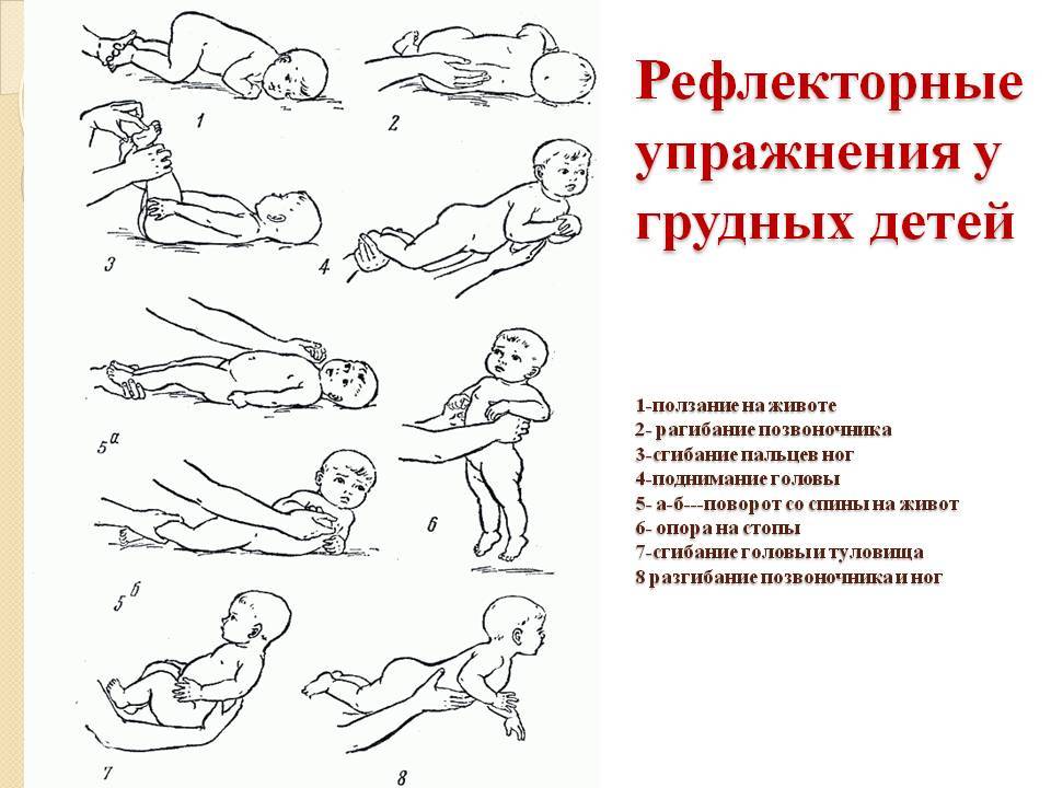  гимнастика для ребенка 6 месяцев: какие упражнения подходят для детей в полгода