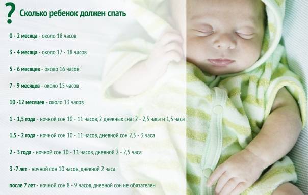 Сколько раз в день должен спать 7 месячный ребенок: норма сна днем и ночью, таблица