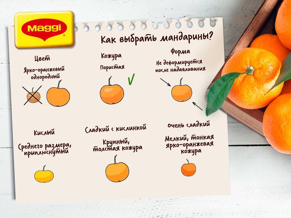 Как до нового года хранить мандарины в квартире. как хранить мандарины в домашних условиях: описание, рекомендации и отзывы