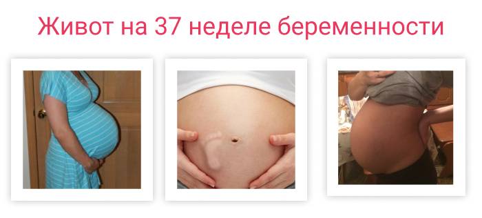 Дышите глубже: 38 неделя беременности | аборт в спб