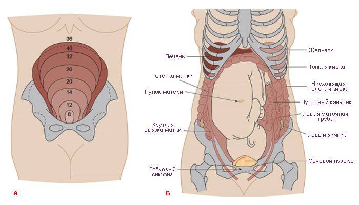 Синдром раздраженного кишечника | университетская клиника