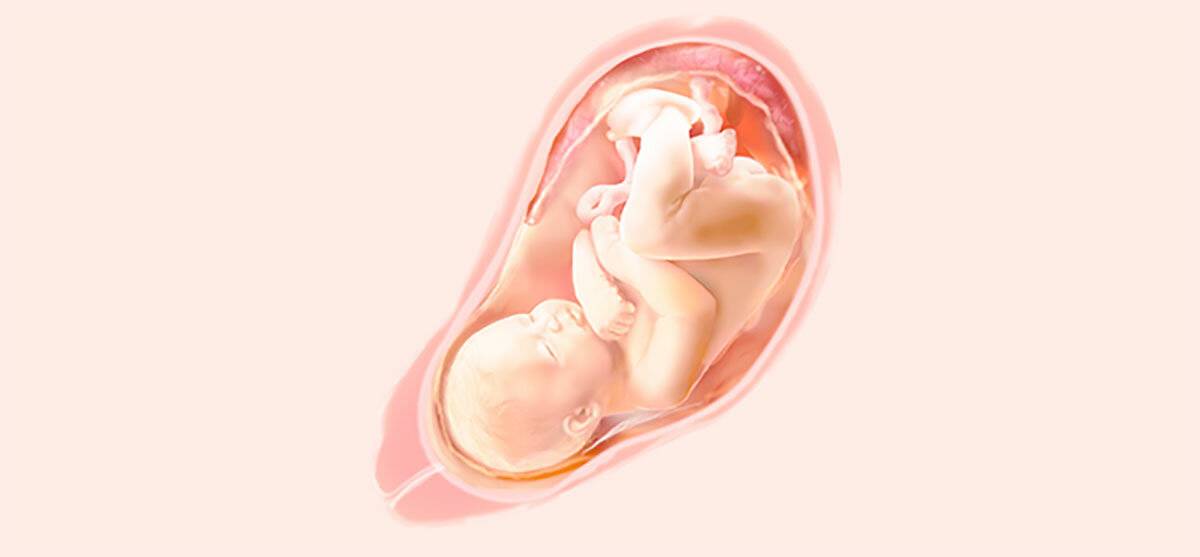 34 неделя беременности – сигналы тревоги | аборт в спб