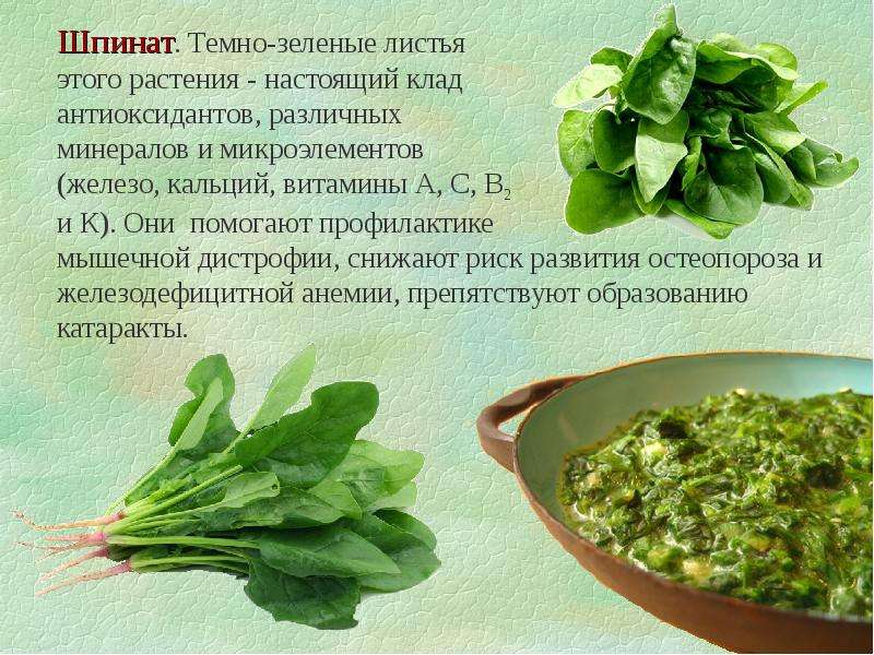 Салаты при гв: какие блюда можно кормящей маме | s-voi.ru