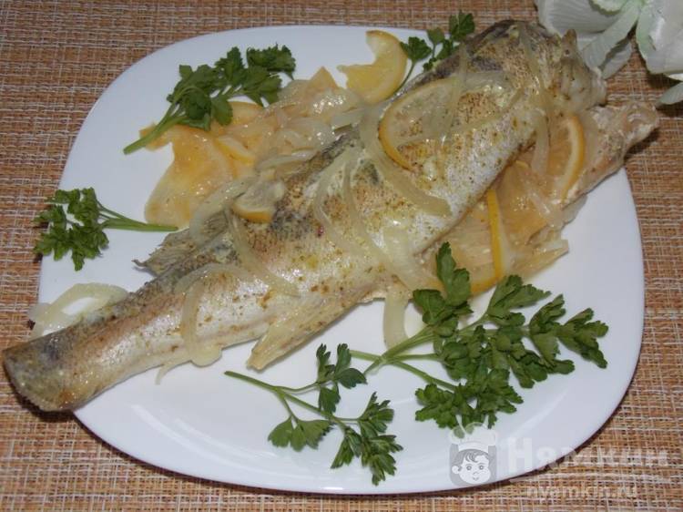 ???? судак: лучшие рецепты различных блюд из этой рыбы