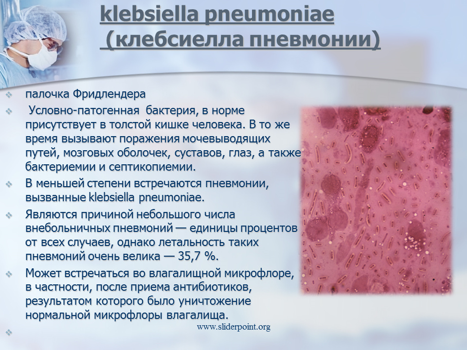 Клебсиелла у грудничка в кале и моче: симптомы, как лечить, мнение комаровского