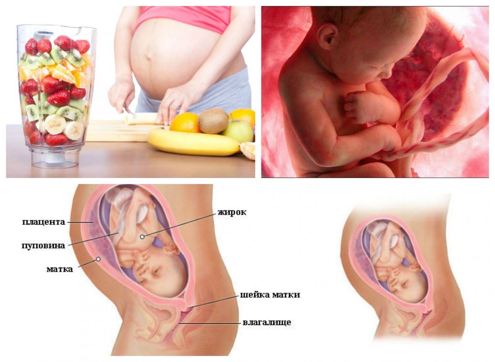 30 неделя беременности. календарь беременности   | материнство - беременность, роды, питание, воспитание