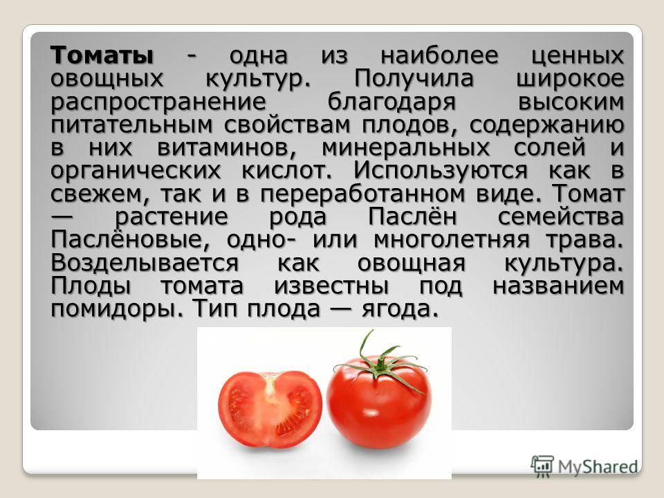 В каком возрасте в рацион ребенка можно вводить помидоры?