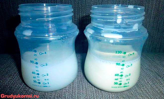 Как повысить качество молока - 14 правил