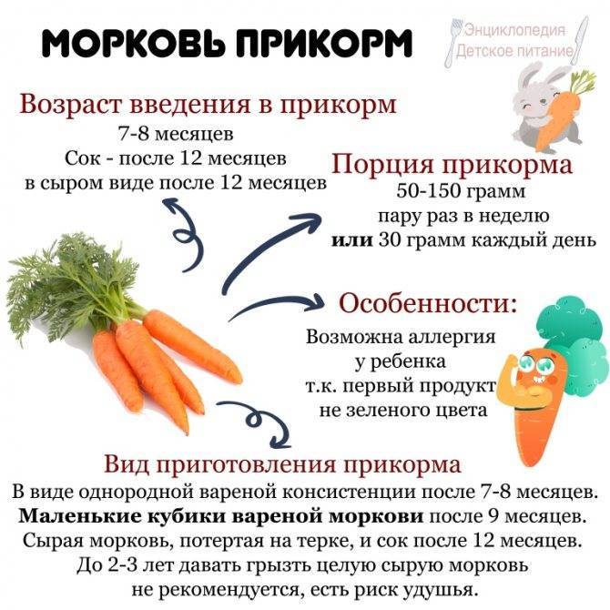 Морковное пюре для грудничка с какого возраста - детская городская поликлиника №1 г. магнитогорска