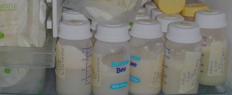 Какими способами в домашних условиях определить жирность коровьего молока